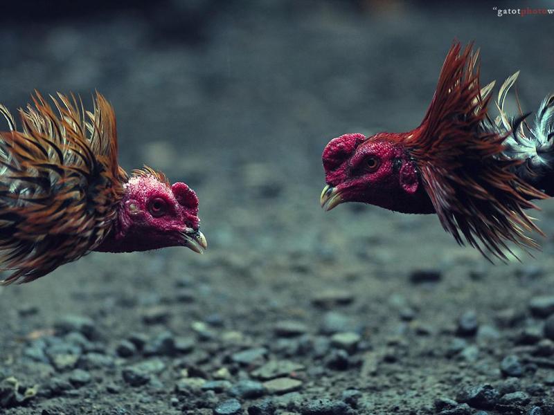 Casiño vs. Court of&nbsp;Appeals